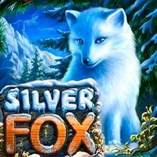 gameimage