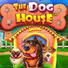 gameimage
